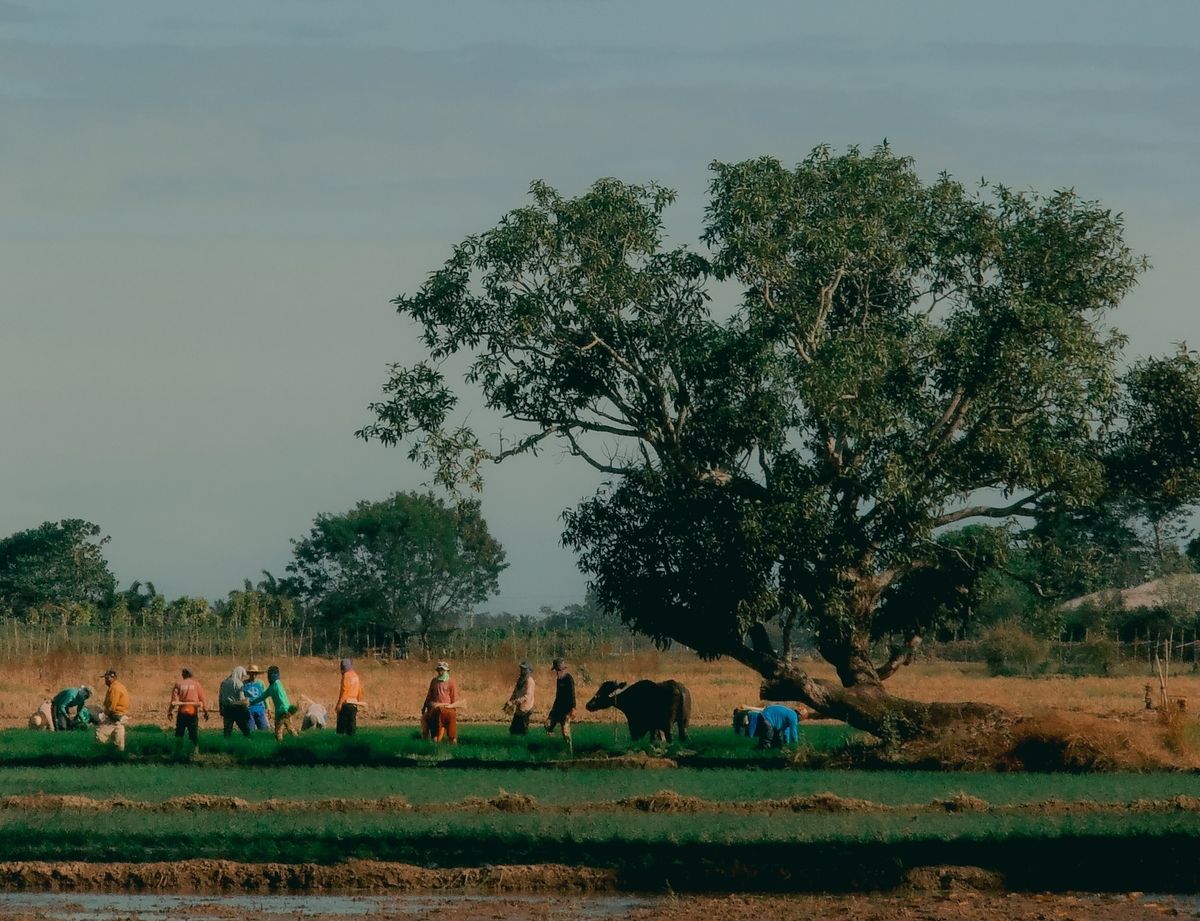 Finally! Empowering co-op farmers